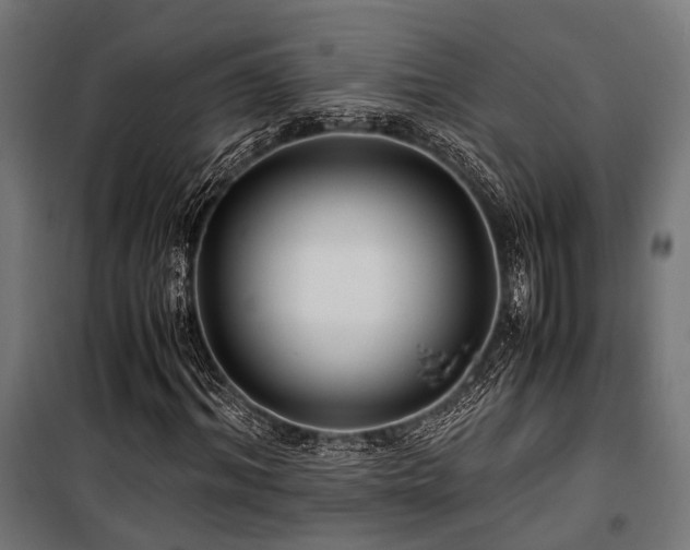 X0000100860964200806201213