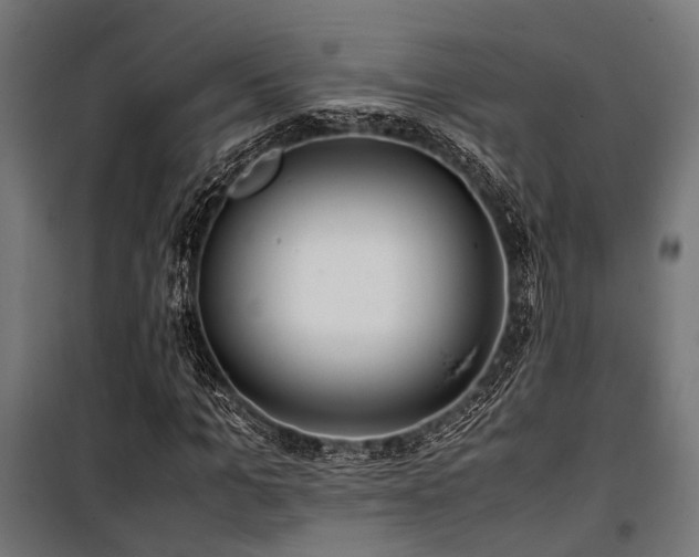 X0000100860965200806201213