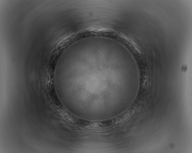 X0000100860966200806201213