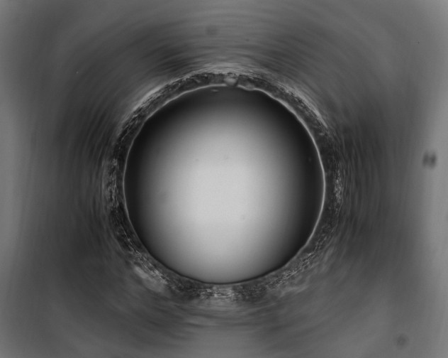 X0000100860968200806201213