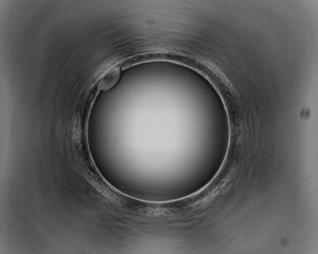 X0000100860969200806201213