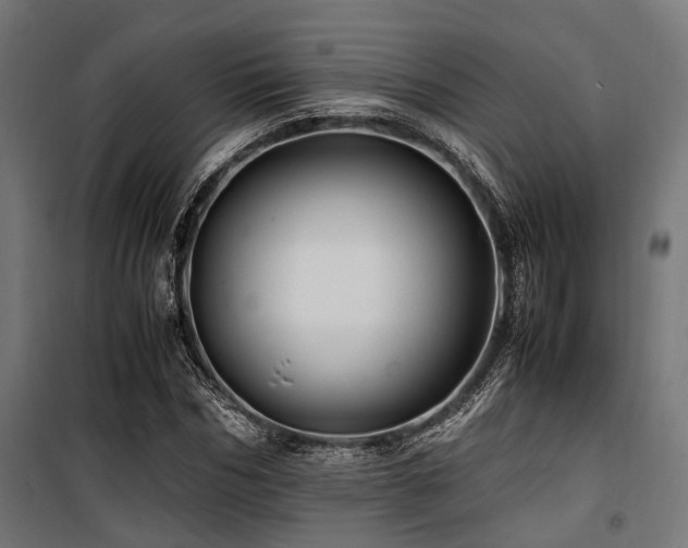 X0000100860970200806201213