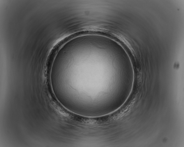 X0000100860971200806201213