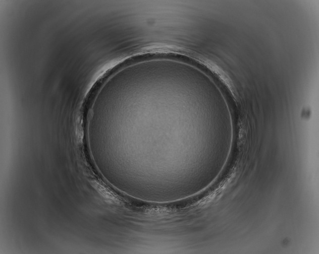 X0000100860973200806201213