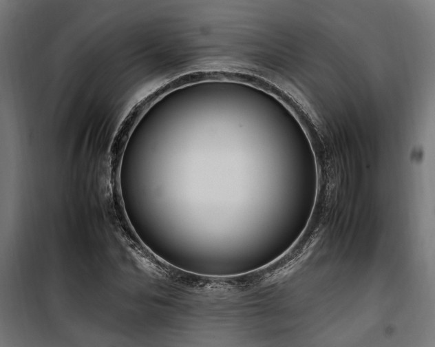 X0000100860974200806201213