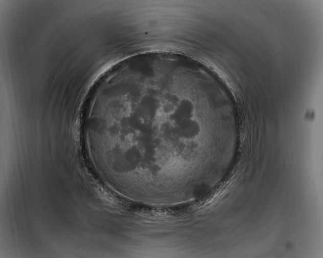 X0000100860975200806201213