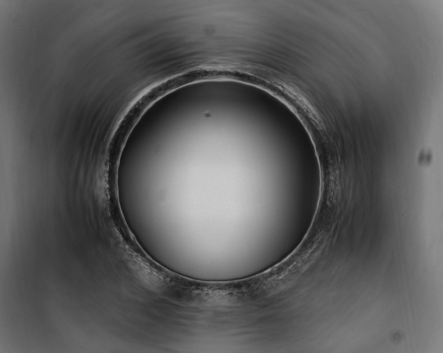 X0000100860976200806201213