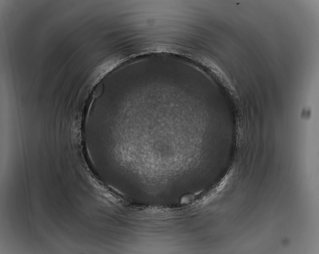 X0000100860977200806201213