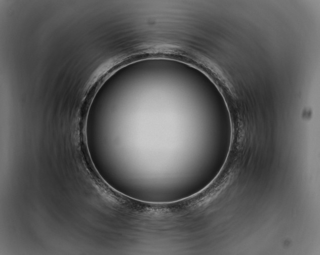 X0000100860978200806201213