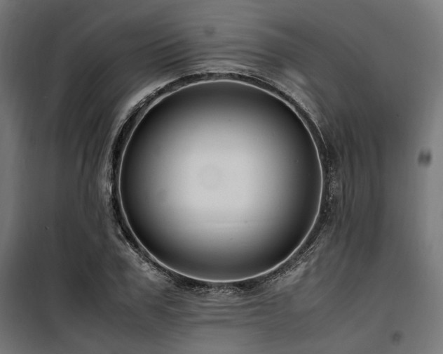 X0000100860979200806201212