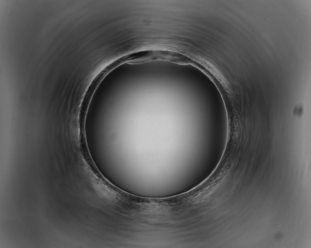 X0000100860980200806201212