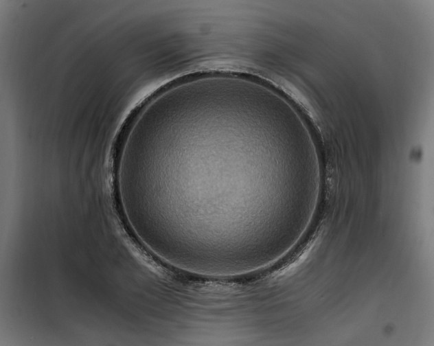 X0000100860981200806201212