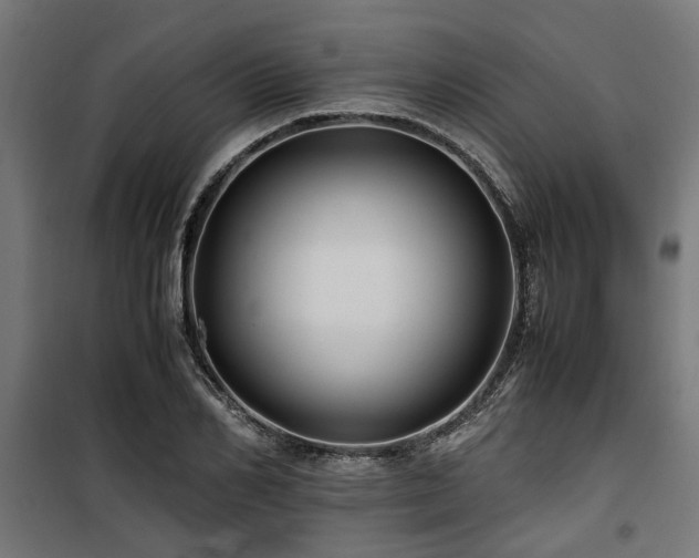 X0000100860982200806201212