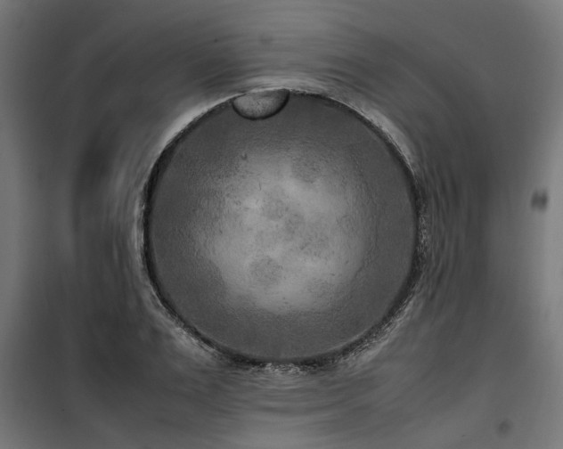 X0000100860983200806201212