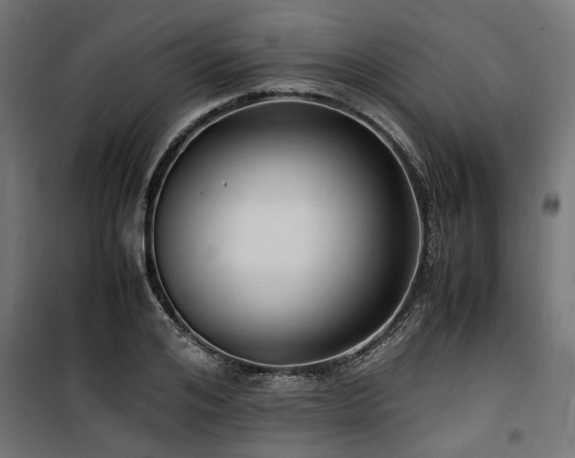 X0000100860984200806201212