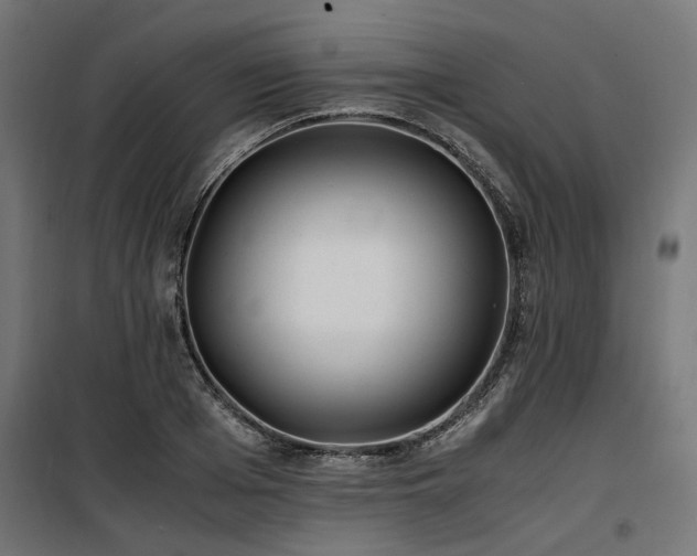 X0000100860985200806201212