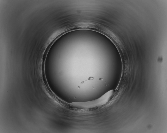 X0000100860986200806201212