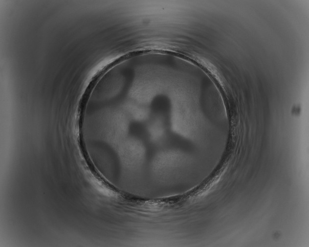 X0000100860987200806201212