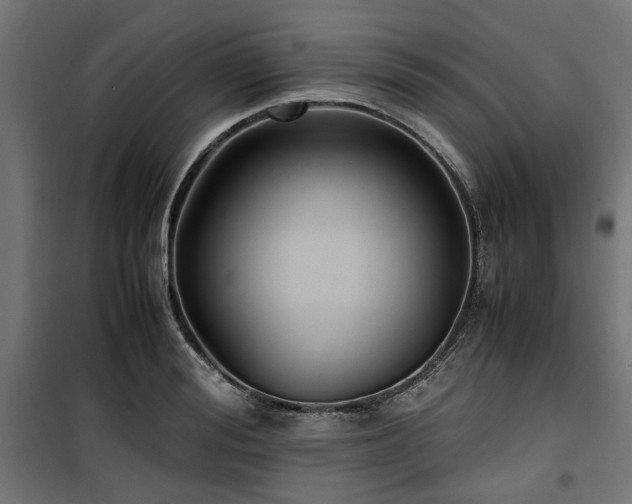 X0000100860988200806201212