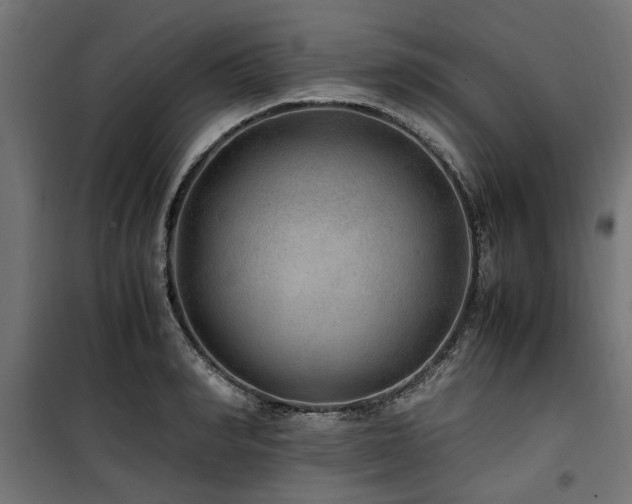 X0000100860990200806201212