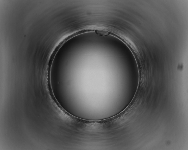 X0000100860992200806201212