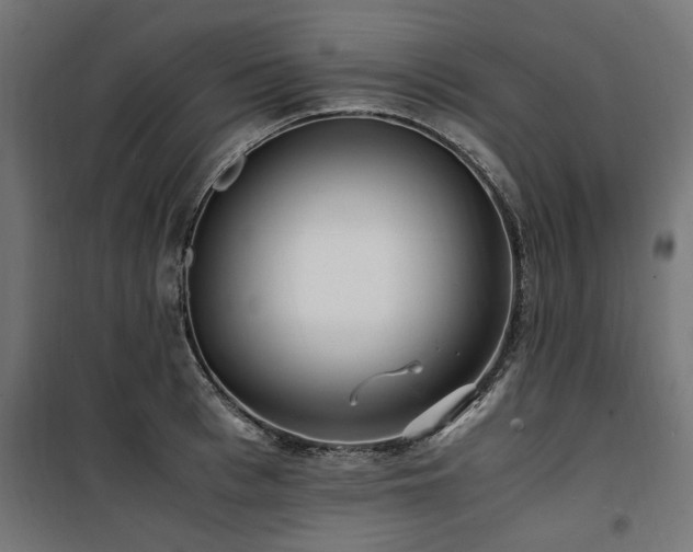 X0000100860993200806201212