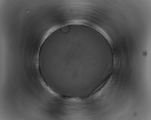 X0000100860994200806201212