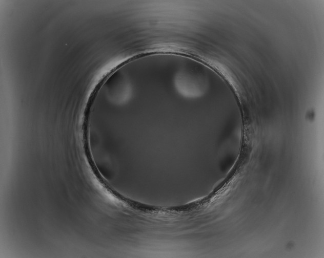 X0000100860995200806201212