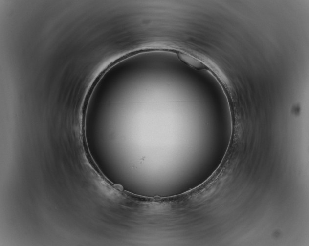 X0000100860996200806201212