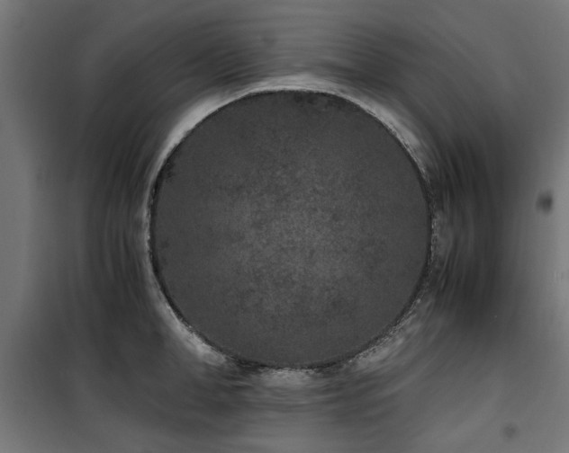 X0000100860998200806201212