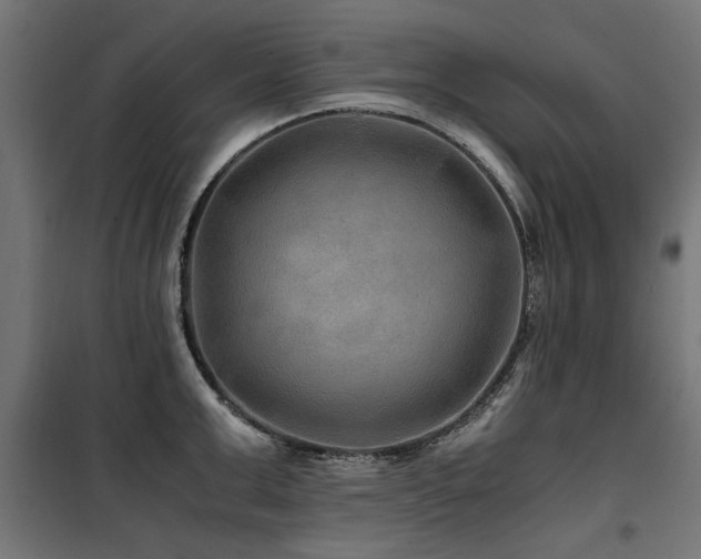 X0000100860999200806201212