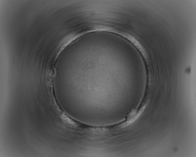 X0000100861001200806201212