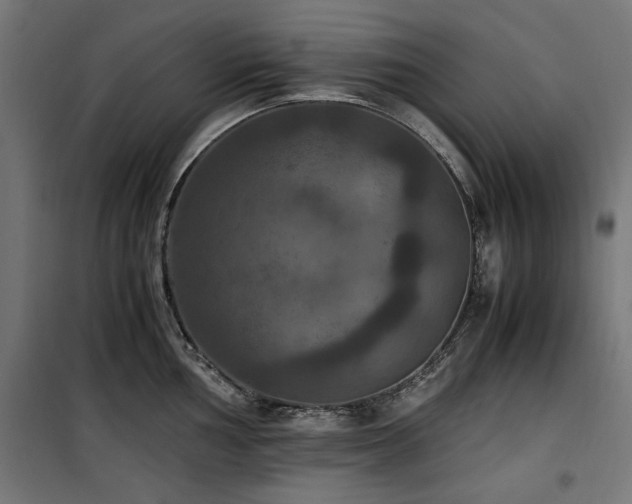 X0000100861002200806201212