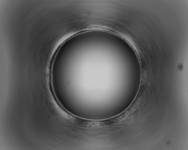 X0000100861003200806201212