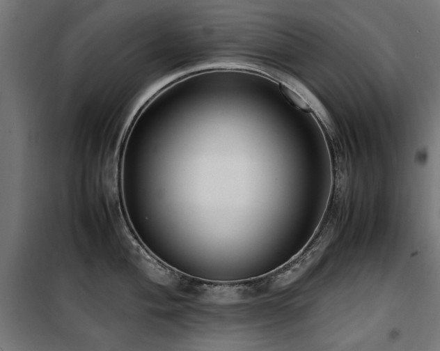 X0000100861004200806201212