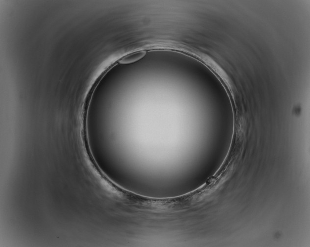 X0000100861005200806201212