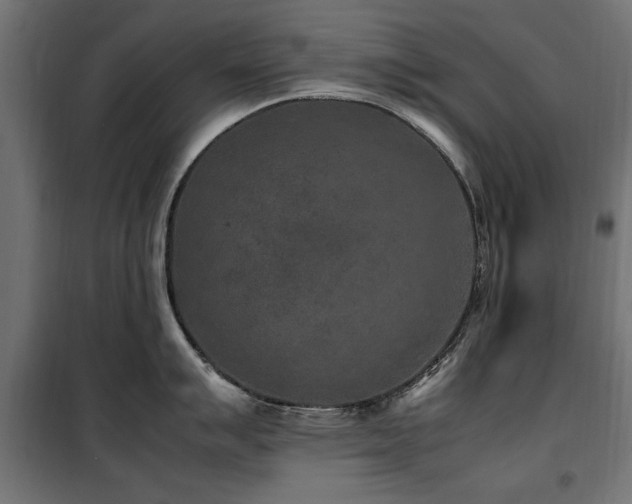 X0000100861007200806201212