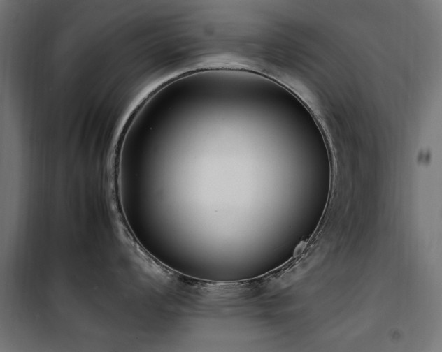 X0000100861008200806201212