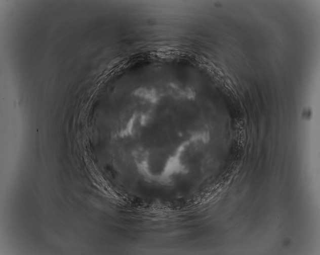 X0000100861009200806201211