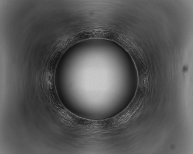 X0000100861010200806201211