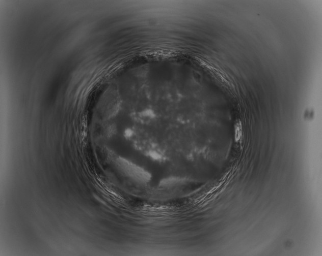 X0000100861011200806201211