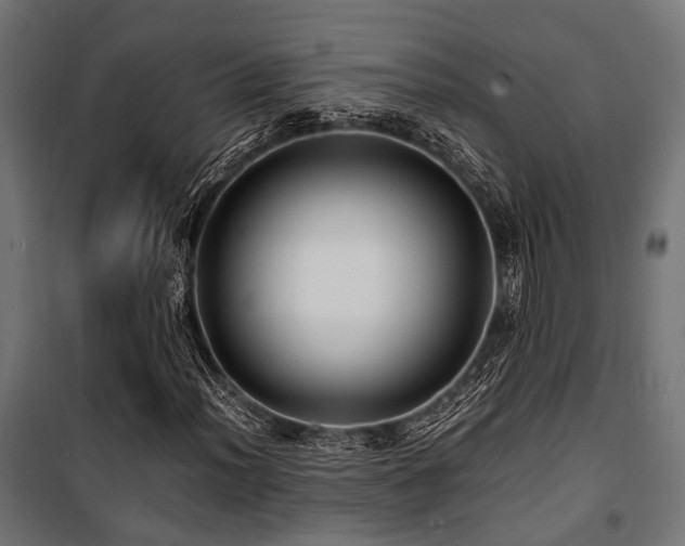 X0000100861012200806201211