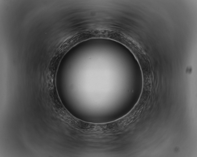 X0000100861013200806201211