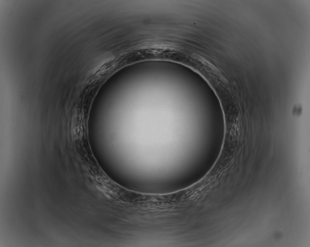 X0000100861014200806201211