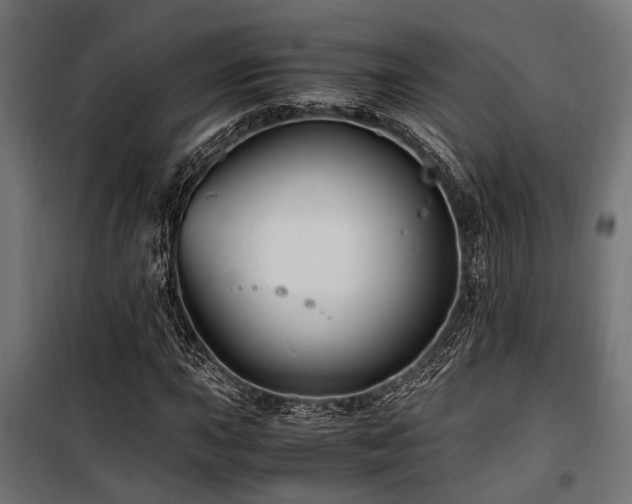 X0000100861015200806201211