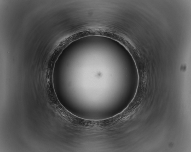 X0000100861016200806201211