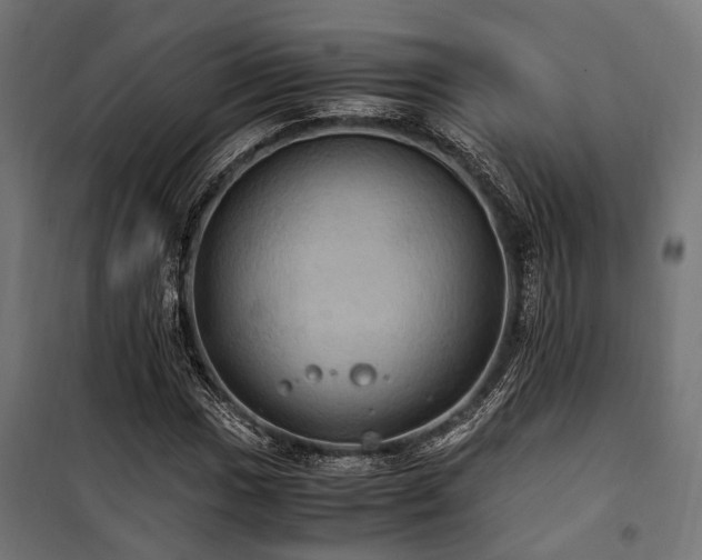 X0000100861017200806201212