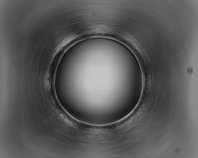 X0000100861018200806201212