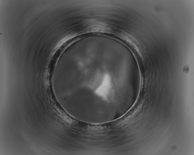 X0000100861019200806201212