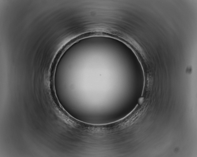 X0000100861020200806201212